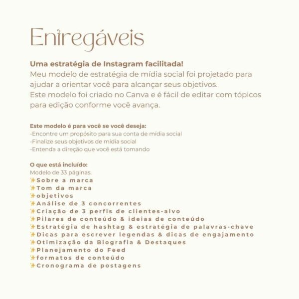 Template de Estratégia para o Instagram - Image 3